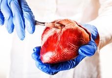 hartchirurgie